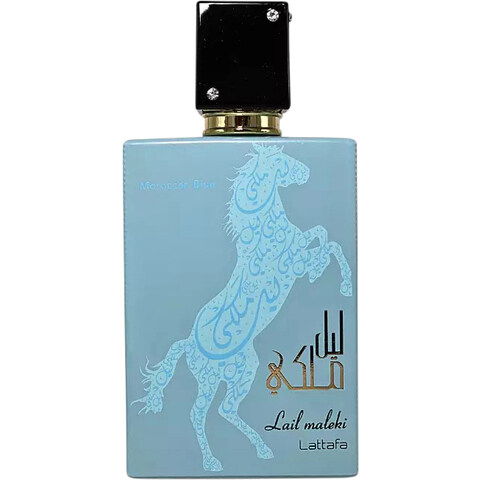 Lail Maleki Moroccan Blue